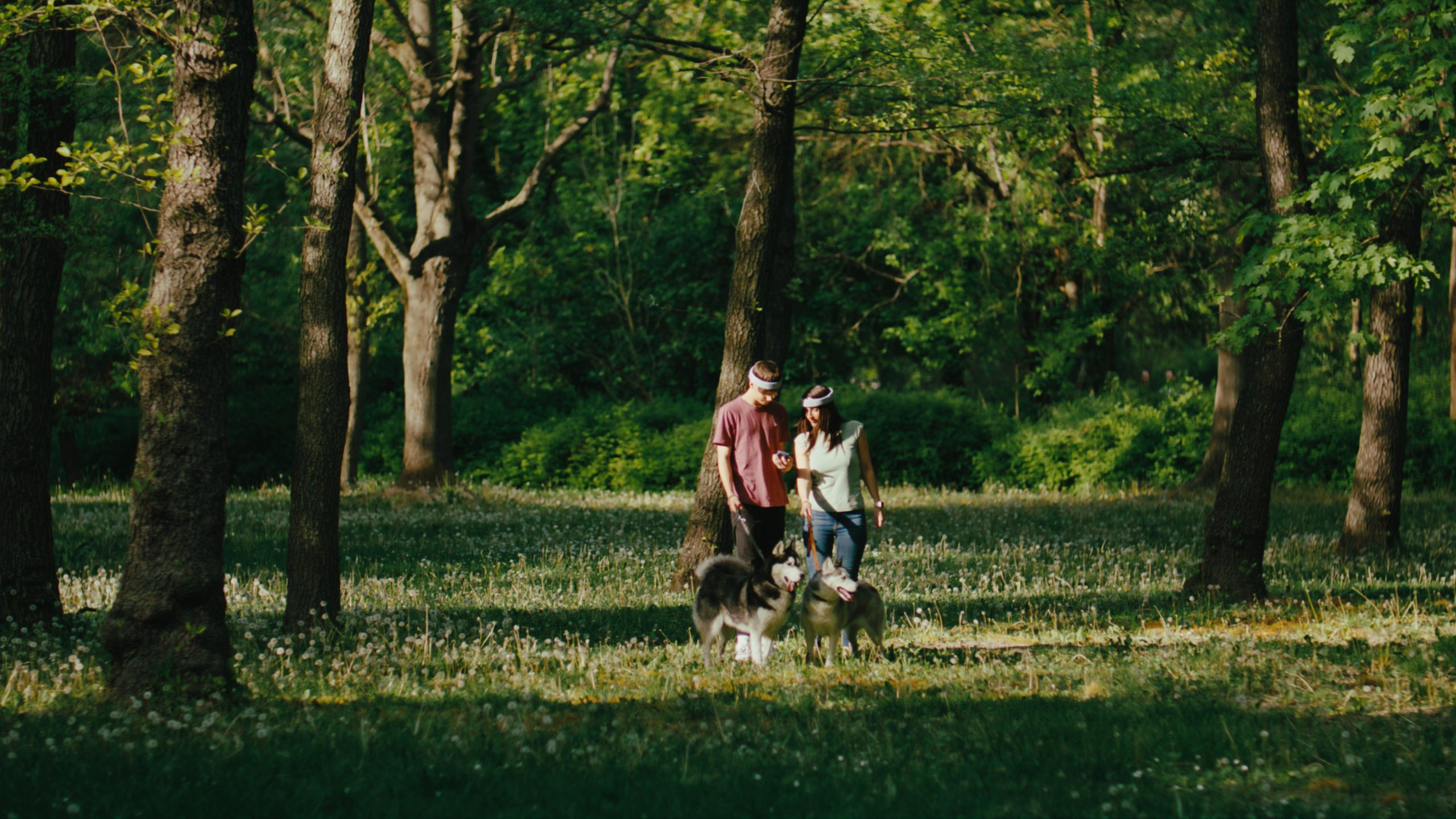 Image shows two people walking dogs in the woods. Both people are wearing Rezon Halos® brain protection.